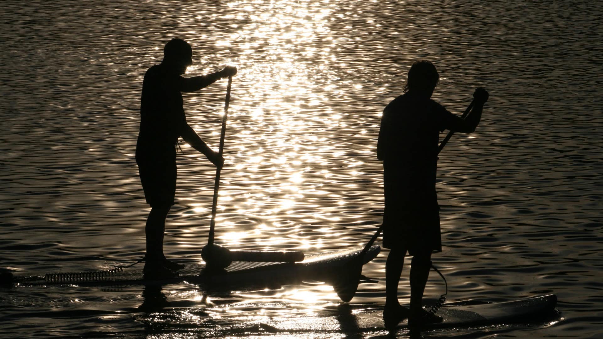 Two paddleboarders on the sea at sunset.